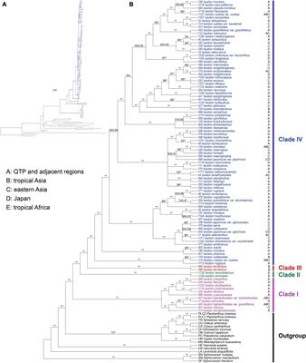 Plastome sequences fail to resolve shallow level relationships within the rapidly radiated genus Isodon (Lamiaceae)